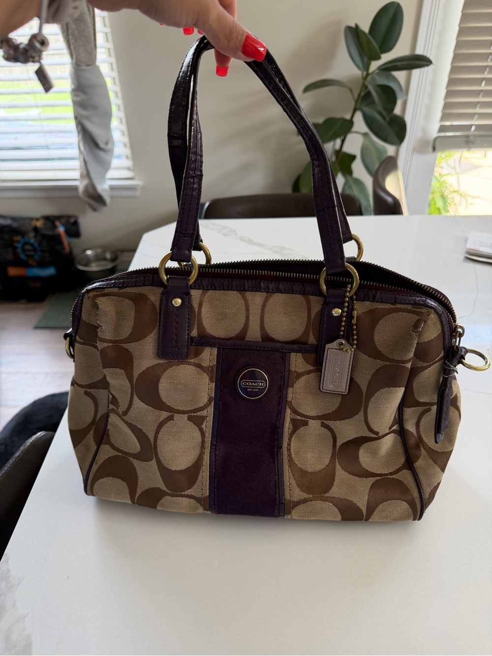 COACH Signature Stripe Satchel Khaki Purple Crossbody Bag Purse F24364